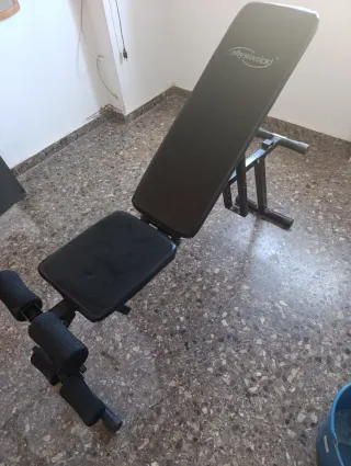 Barrette per palestra a casa e dischi