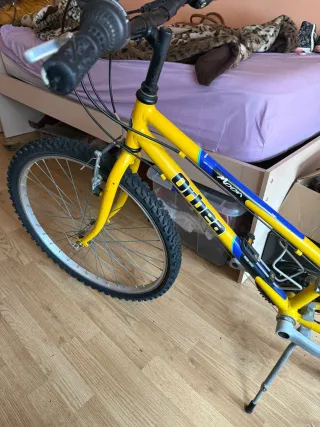 Bicicleta Montaña Amarilla Riding Sport