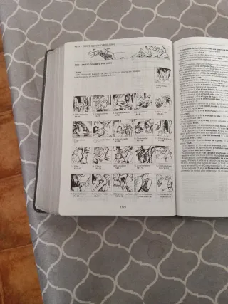 Biblia de estudio Thomson