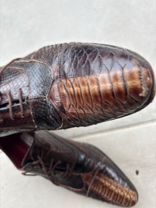 Zapatos de piel de serpiente marrones