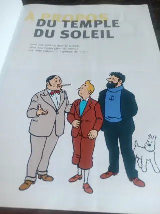 Aventura de Tintín templo de fu soleil