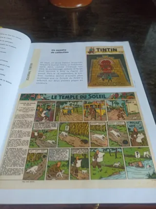 Aventura de Tintín templo de fu soleil