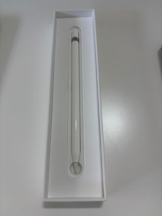 Apple Pencil 1ª Generación
