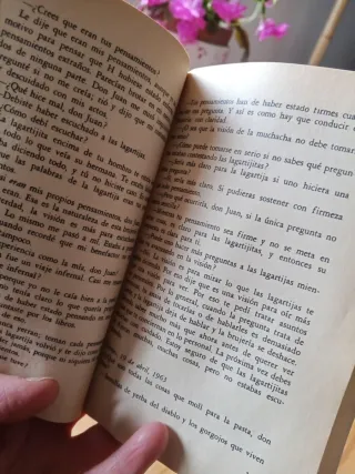 Las Ensenanzas De Don Juan