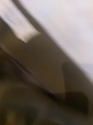 Pantalón de vestir verde oliva mujer