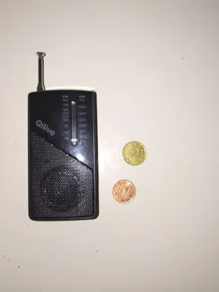 Radio Qilive Portátil FM/AM Negra