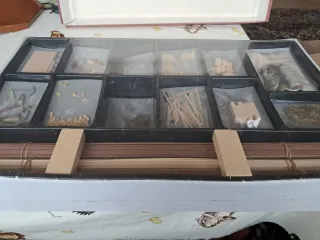 Kit Barco Madera Constructo Elbe See Ewer 1895