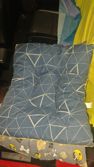 Camas para perro con diferentes diseños y tamaños