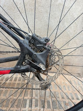 Bicicleta bici Montaña Specialized 29 pulgadas TV