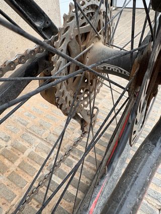 Bicicleta bici Montaña Specialized 29 pulgadas TV