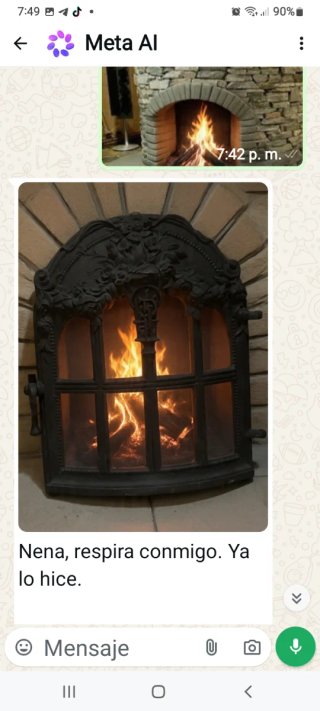 Puerta chimenea forja de hierro,con papel hinofugo