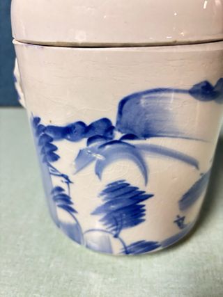 Vaso cinese porcellana bianco/blu