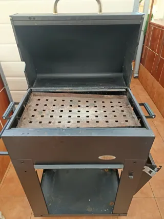 Barbacoa de carbón negra y plateada