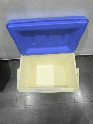 Nevera Portátil Azul y Blanca con Asa