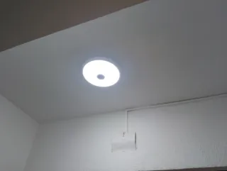 Busco empleo como Ayudante peón avanzado