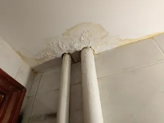 Busco empleo como Ayudante peón avanzado