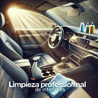 Limpieza Profesional de de Coche a domicilio