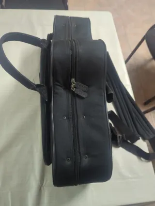 Funda para saxofón alto