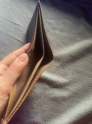 Cartera Nueva Solidaria