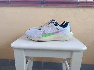 Nike Zoom Pegasus 40