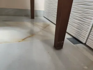 Lote 4 sillas comedor madera maciza tapizadas