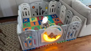 Parque infantil corralito bebé