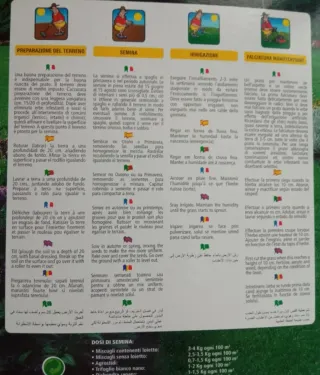 Sementi Tappeto Erboso 1kg Standard