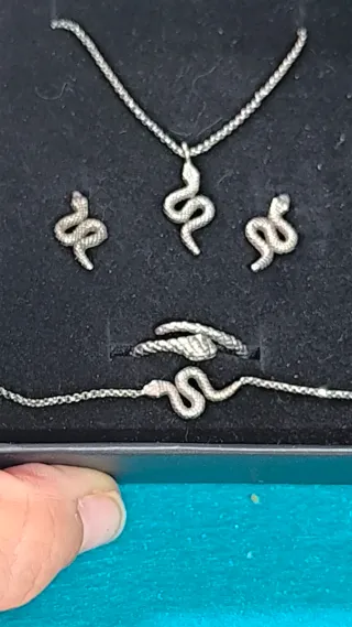 Conjunto Plata Ley Serpiente
