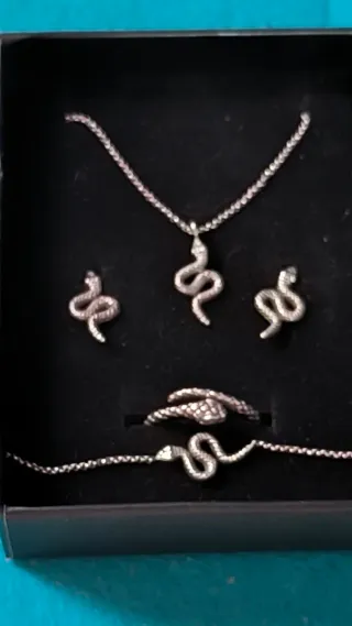 Conjunto Plata Ley Serpiente