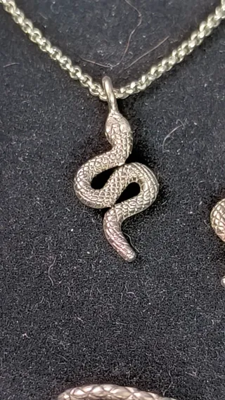 Conjunto Plata Ley Serpiente