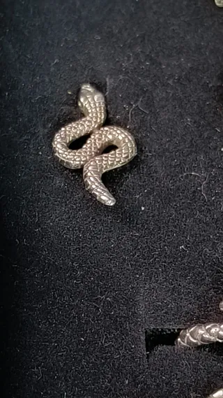 Conjunto Plata Ley Serpiente