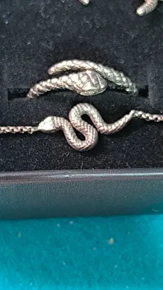 Conjunto Plata Ley Serpiente