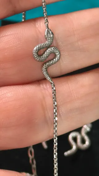 Conjunto Plata Ley Serpiente