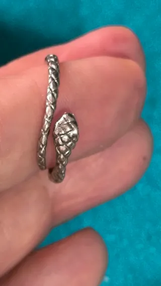 Conjunto Plata Ley Serpiente