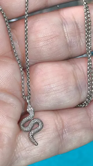 Conjunto Plata Ley Serpiente