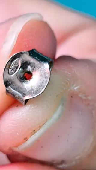 Conjunto Plata Ley Serpiente