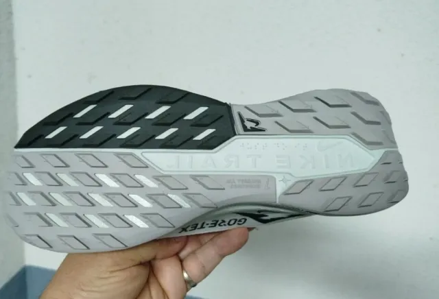 Nike Pegasus 40 Gore-Tex Talla 40