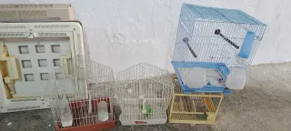 Lote 4 gabbie per uccelli