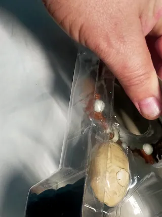 Collar Disney Moana Mágico Luces