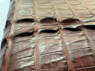 Cartera de cuero de Cocodrilo natural billetera