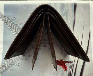 Cartera de cuero de Cocodrilo natural billetera