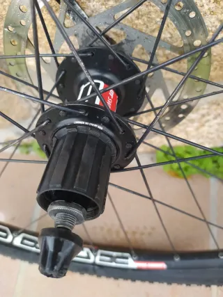 Rueda trasera DT Swiss X1800 26