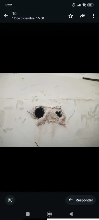 Barco con motor Yamaha