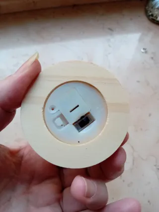 Sfera luminosa con fiori