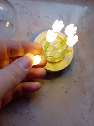 Sfera luminosa con fiori