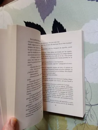 Cold cold Ground. Adrian McKinty (Novela negra)