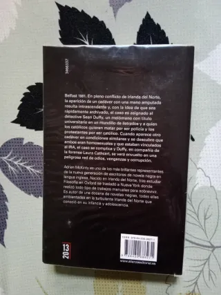 Cold cold Ground. Adrian McKinty (Novela negra)