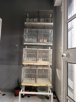 Carrello con 4 gabbie Pedro