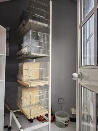 Carrello con 4 gabbie Pedro