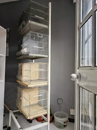 Carrello con 4 gabbie Pedro